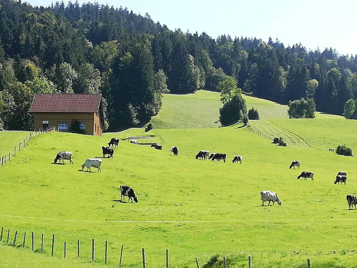 Gemütliche Wohnung in Einfamilienhaus Alberschwende Exterior foto